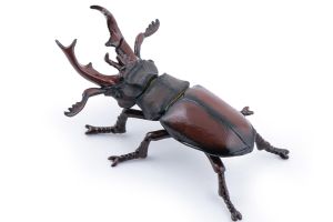 Figurine Lucane